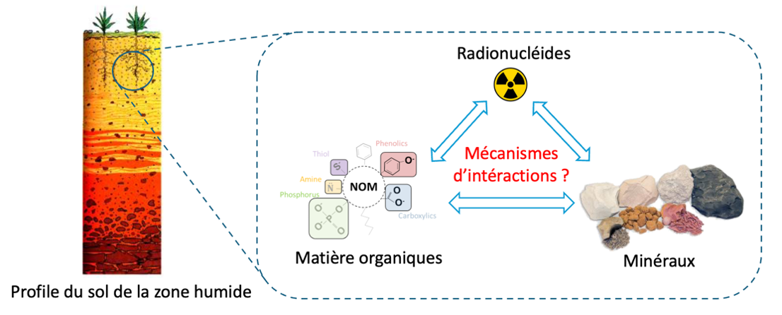 Image d'illustration du projet